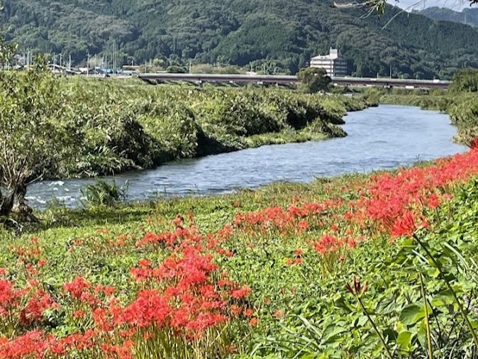 「70代で死ぬ人、80代でも元気な人」を読んで